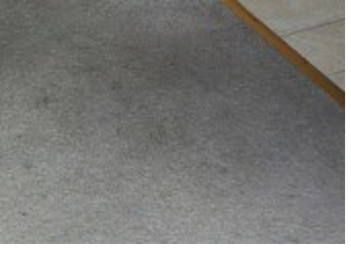 carpet cleaning Cape Coral