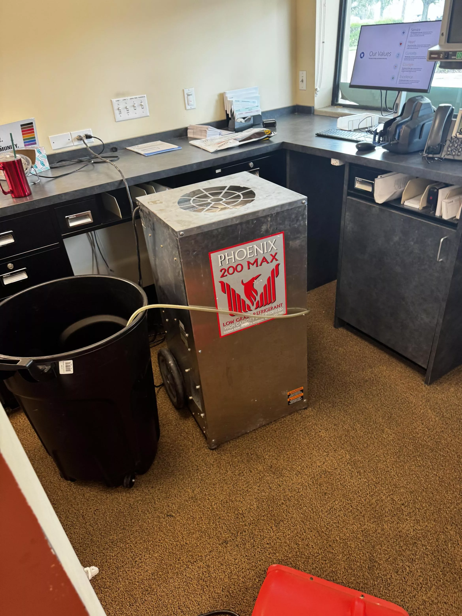 carpet cleaning Cape Coral