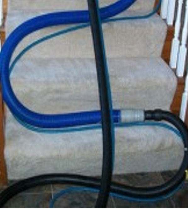 carpet stain removal cape coral