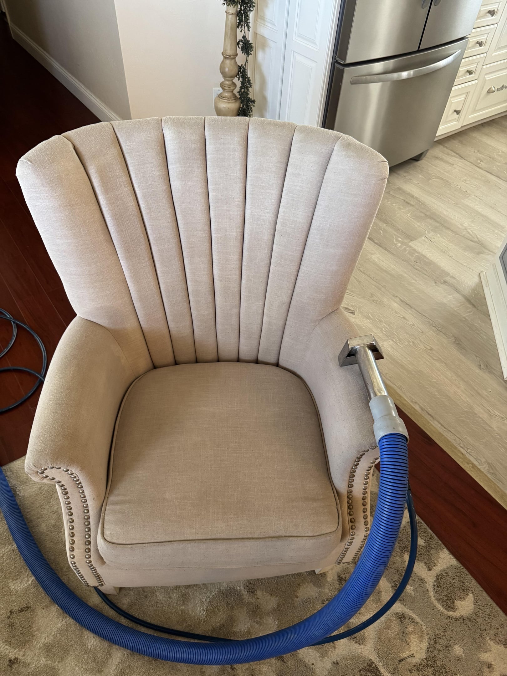 carpet cleaning cape coral