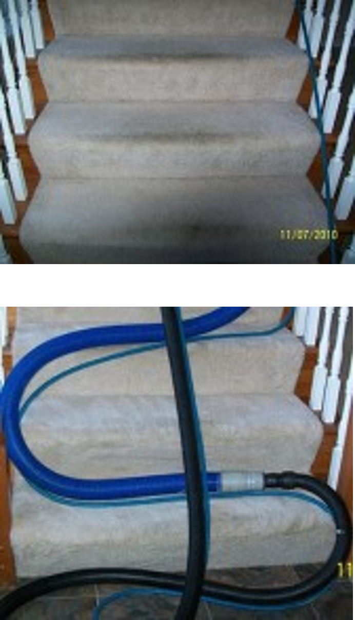 residential carpet cleaning Cape Coral