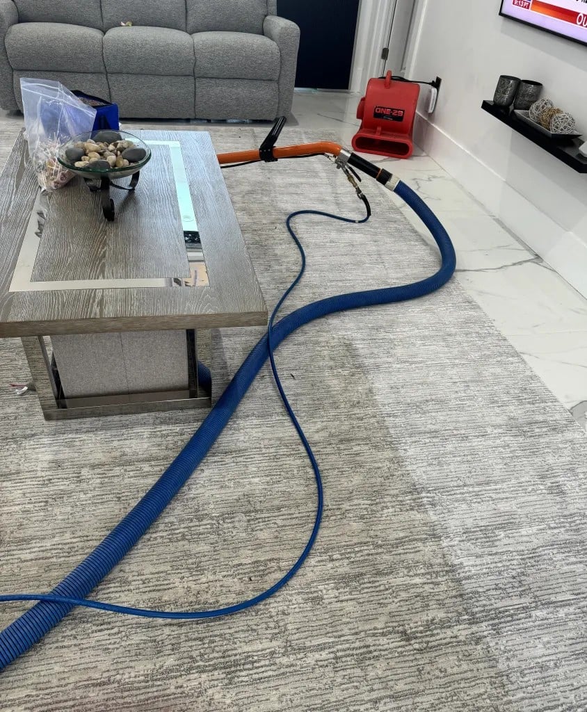 carpet cleaning Cape Coral