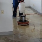 Cape Coral carpet cleaning